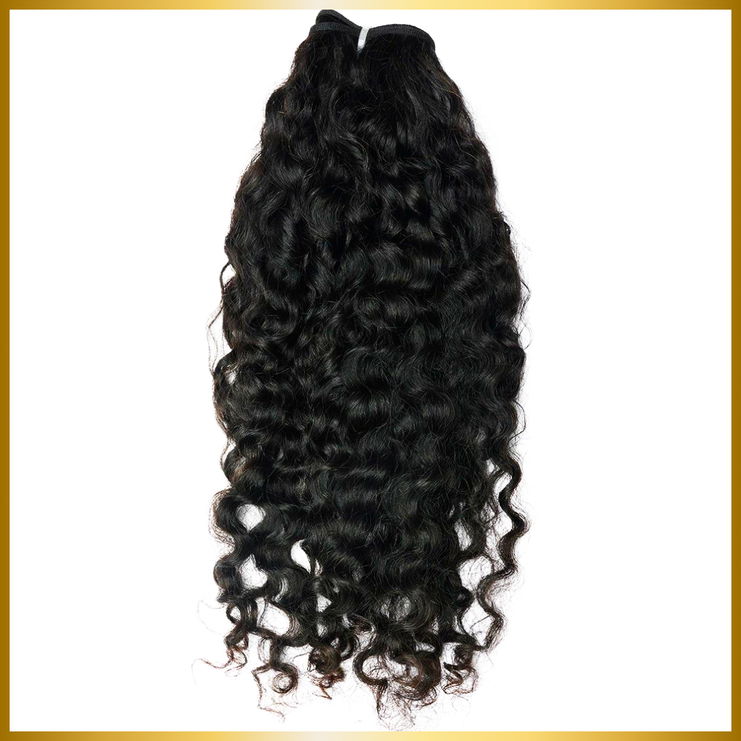 SIGNATURE COLLECTION | BURMESE CURLY